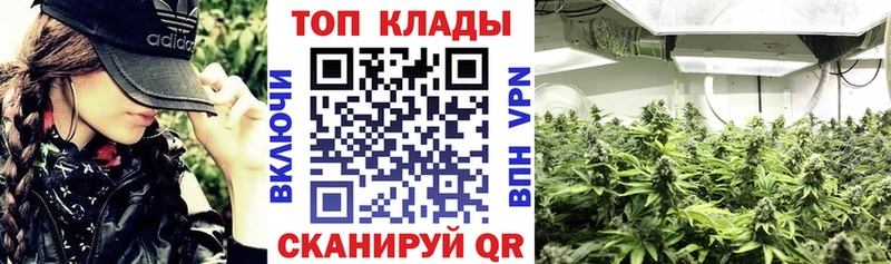 Виды наркотиков купить Шенкурск Каннабис COCAIN Alpha PVP mega ТОР Меф Амфетамин