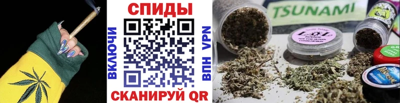 OMG онион  Шенкурск  Бутират жидкий экстази 