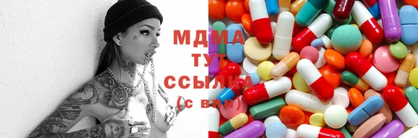 индика Краснотурьинск