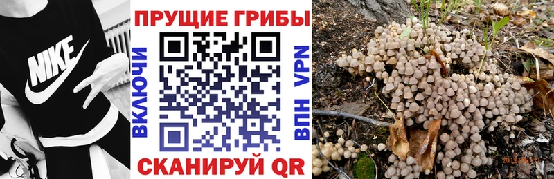 Галлюциногенные грибы мицелий  KRAKEN   Шенкурск 