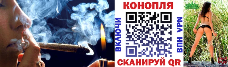 Конопля индика  Шенкурск 